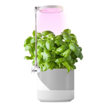LED Sisävalaisin kasvien kasvattamiseen LED/10W/5V 3200K