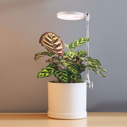LED Sisävalaisin kasvien kasvattamiseen LED/10W/5V 3200K