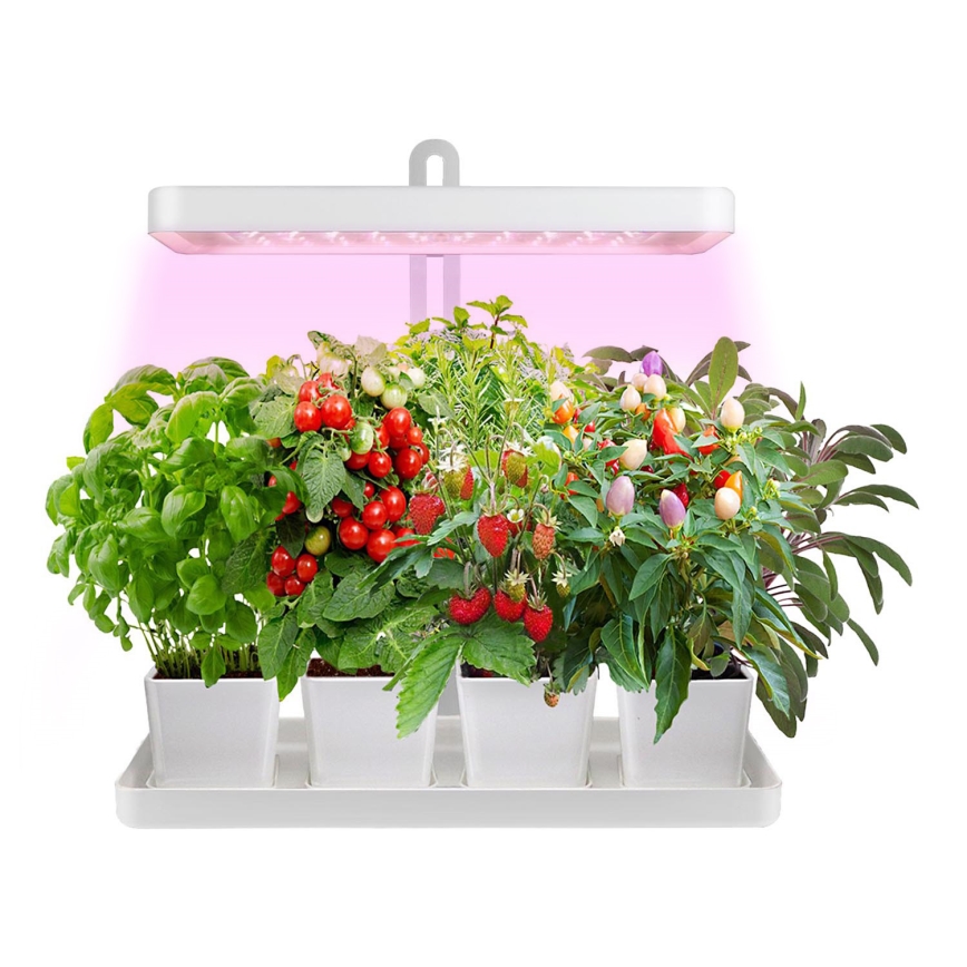 LED Sisävalaisin kasvien kasvattamiseen LED/20W/5V 3500K