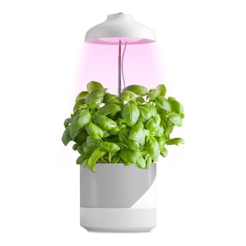 LED Sisävalaisin kasvien kasvattamiseen LED/5W/5V 3200K