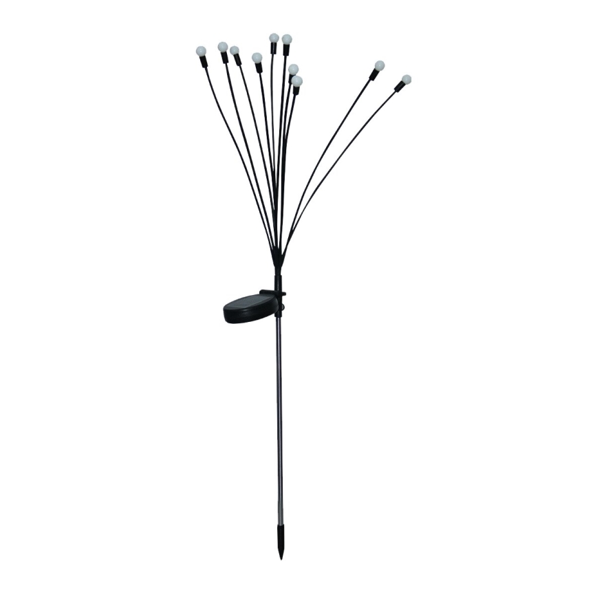 LED Solar koristeellinen valo 10xLED/1,2V 3000K 73 cm IP44