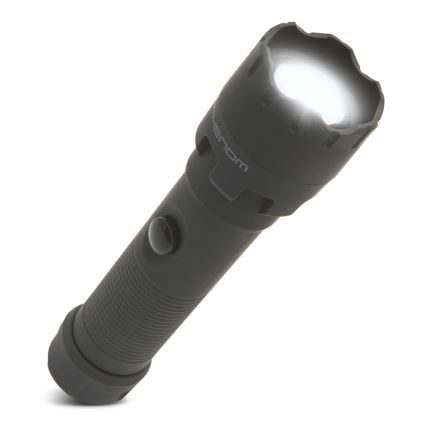 LED-taskulamppu LED/4xAAA IP54