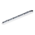 LED-tekninen loistelamppuvalaisin liike- ja hämärätunnistimella LED/36W/230V 6500K IP65 120 cm