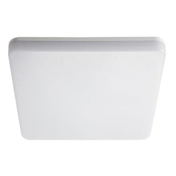 LED-työvalo LED/18W/230V 4000K IP54