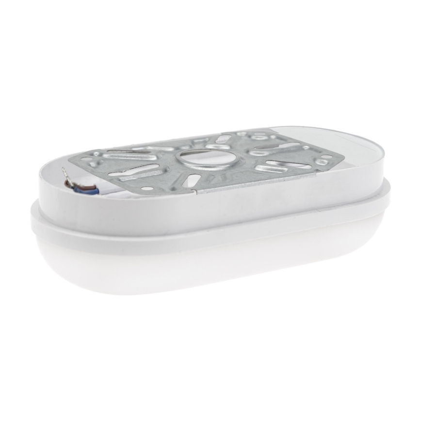 LED-työvalo LED/8W/230V IP54