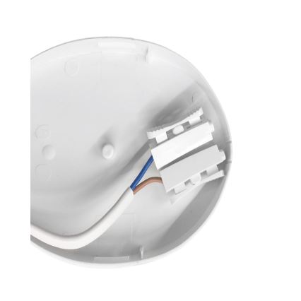 LED-työvalo LED/8W/230V IP54