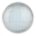 LED Uima-altaan lamppu LED/25W/12V IP68 6500K