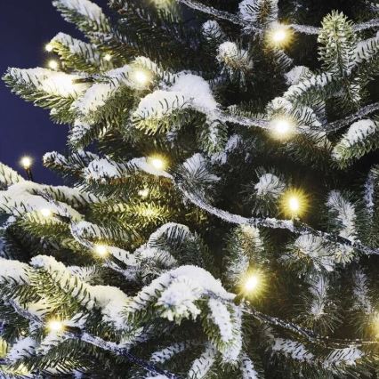 LED-ulkojouluketju 100xLED/10m IP44 lämpimänvalkoinen
