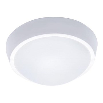 LED-ulkokattovalaisin 1xLED/30W/230V  IP65