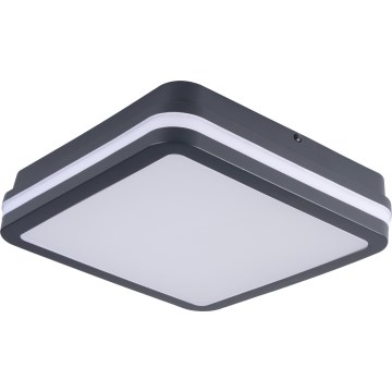 LED-ulkokattovalaisin BENO LED/12/18W/230V 3000/3500/4000K IP65 antrasiitti kulmikas
