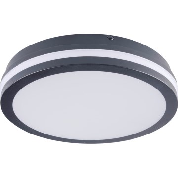 LED-ulkokattovalaisin BENO LED/24/30W/230V 3000/3500/4000K IP65 antrasiitti pyöreä