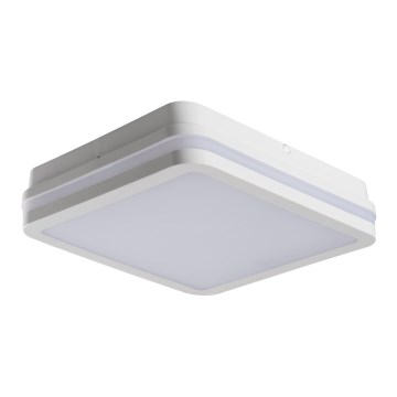 LED-ulkokattovalaisin BENO LED/24W/230V IP54 valkoinen
