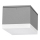 LED-ulkokattovalaisin BRUNO LED/10W/230V IP54