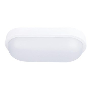 LED-ulkokattovalaisin LED/20W/230V IP54