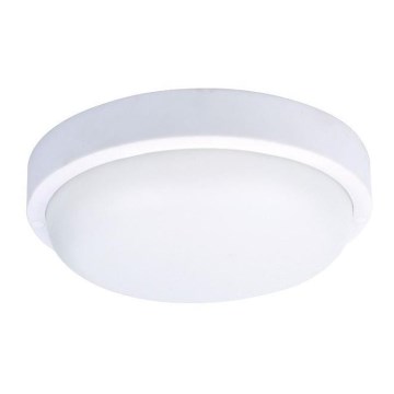 LED-ulkokattovalaisin LED/20W/230V IP54