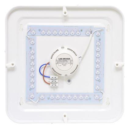 LED-ulkokattovalaisin LUKA LED/42W/230V IP44