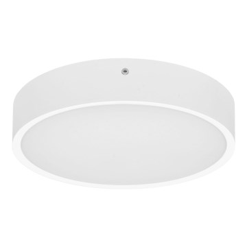 LED-ulkokattovalaisin MARTIN LED/15W/230V 3000/4000K halkaisija 30 cm IP65 valkoinen