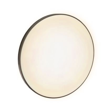 LED ulkokattovalaisin NYMPHEA LED/32W/230V IP54 3000K