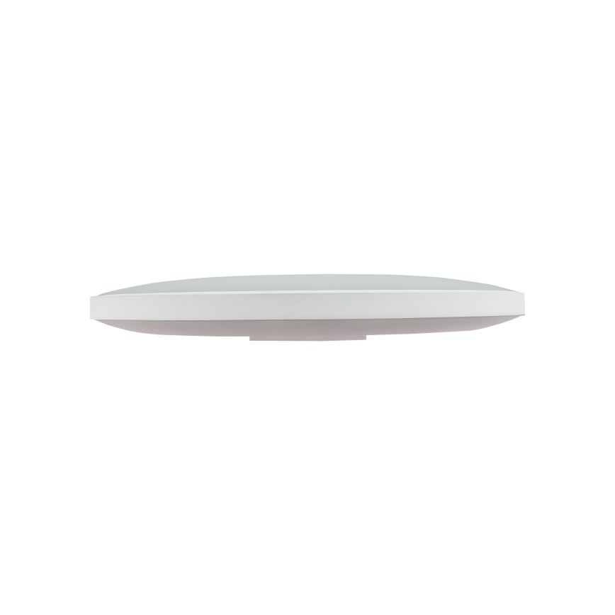 LED ulkokattovalaisin NYMPHEA LED/32W/230V IP54 4000K