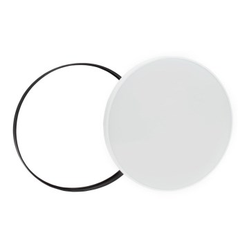 LED Ulkokattovalo NYMPHEA LED/24W/230V IP54 6000K