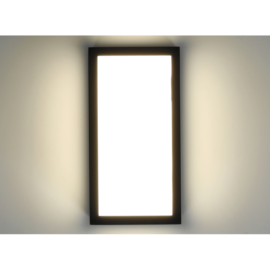 LED ulkoseinävalaisin ENTERA LED/10W/230V 4000K IP54