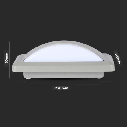 LED Ulkoseinävalaisin LED/12W/230V 6400K IP65