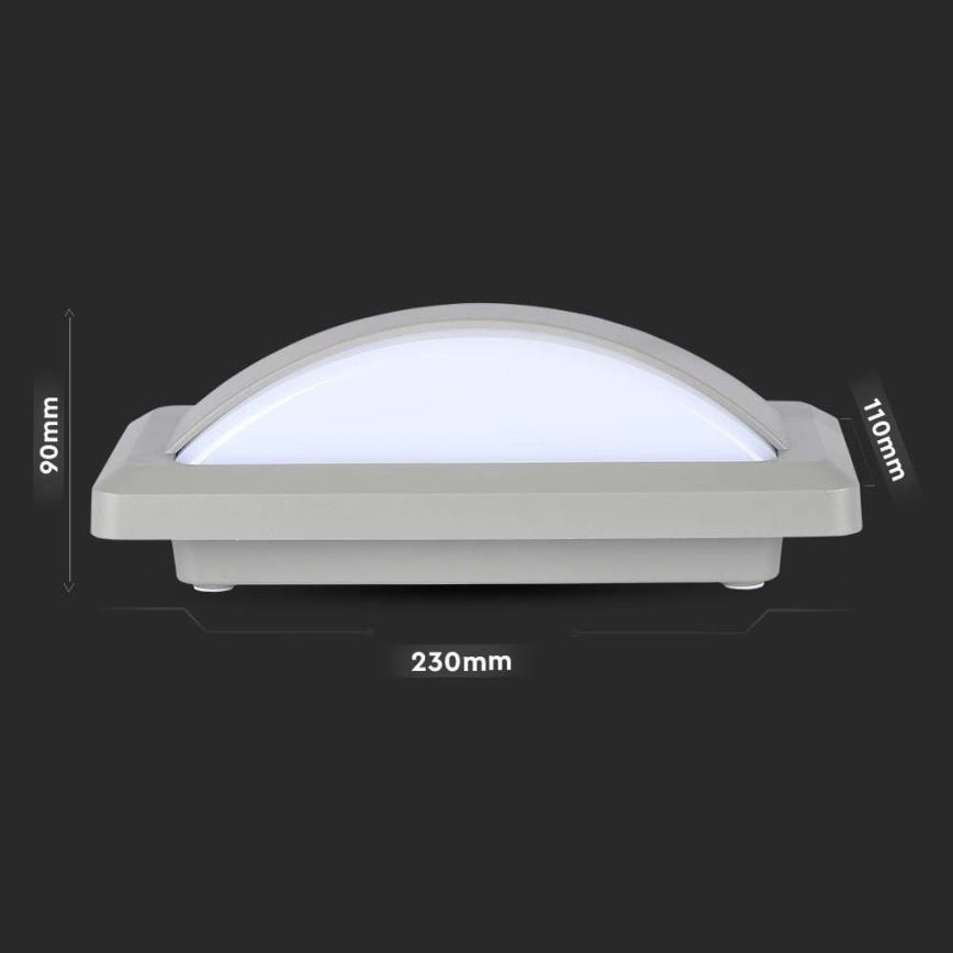 LED Ulkoseinävalaisin LED/12W/230V 6400K IP65