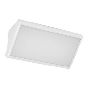 LED-ulkoseinävalaisin LED/12W/230V 6400K IP65 valkoinen