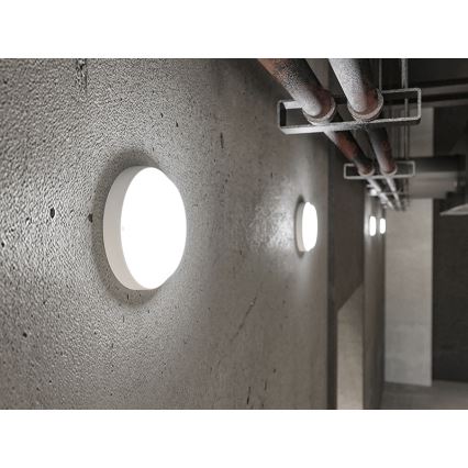 LED ulkoseinävalaisin LED/18W/230V IP54 valkoinen