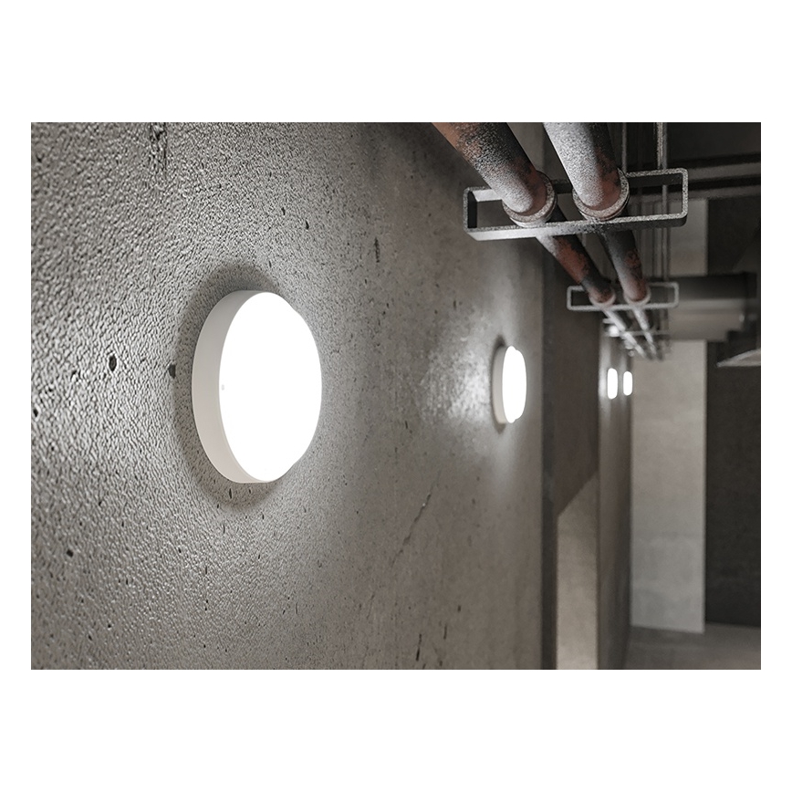 LED ulkoseinävalaisin LED/18W/230V IP54 valkoinen