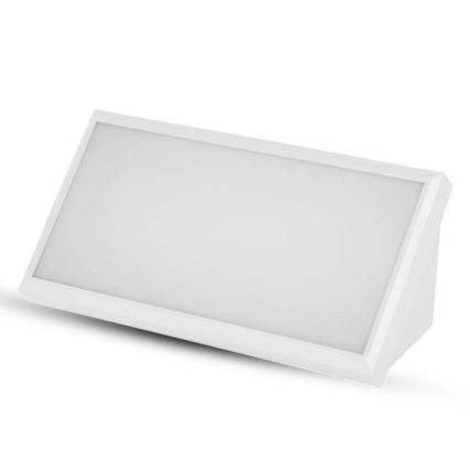 LED-ulkoseinävalaisin LED/20W/230V 3000K IP65 valkoinen