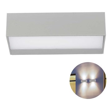 LED Ulkoseinävalaisin LED/9W/230V 6500K IP65
