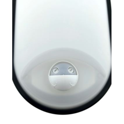 LED-dimmattava ulkoseinävalaisin liiketunnistimella LED/12/15/18W/230V 3000K/4000K/6500K IP65 musta/valkoinen