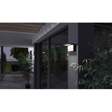 LED-ulkoseinävalaisin NATURA LED/12W/230V 4000K IP65 ruskea/antrasiitti
