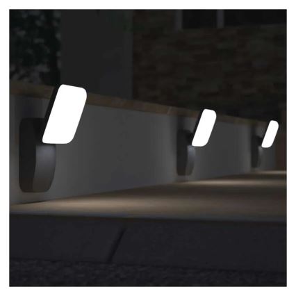 LED-ulkoseinävalaisin NIKA LED/12,5W/230V IP44