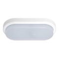 LED-ulkoseinävalaisin OVAL LED/18W/230V IP54