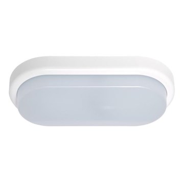 LED-ulkoseinävalaisin OVAL LED/18W/230V IP54