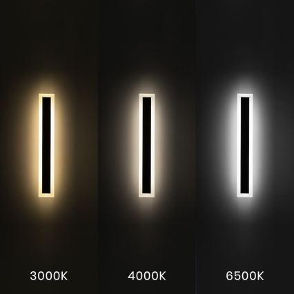 LED-ulkoseinävalaisin WOW LED/20W/230V 3000/4000/6500K 60 cm IP54 musta