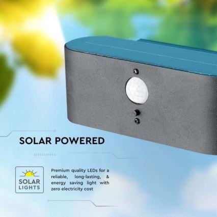 LED Ulkotila aurinko seinävalaisin anturilla LED/2,5W/3,7V 3000K IP54
