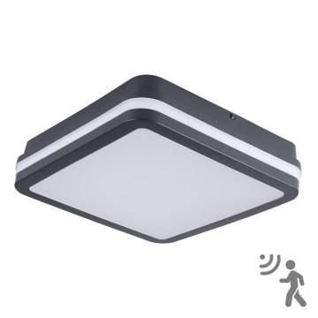 LED-ulkovalaisin anturilla BENO LED/18W/230V 4000K IP54 antrasiitti
