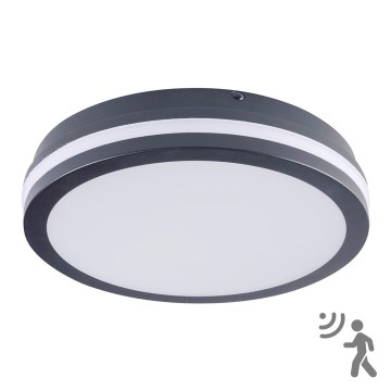 LED-ulkovalaisin anturilla BENO LED/24W/230V IP54 antrasiitti