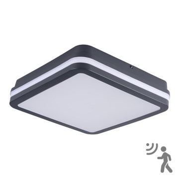 LED-ulkovalaisin anturilla BENO LED/24W/230V IP54 antrasiitti