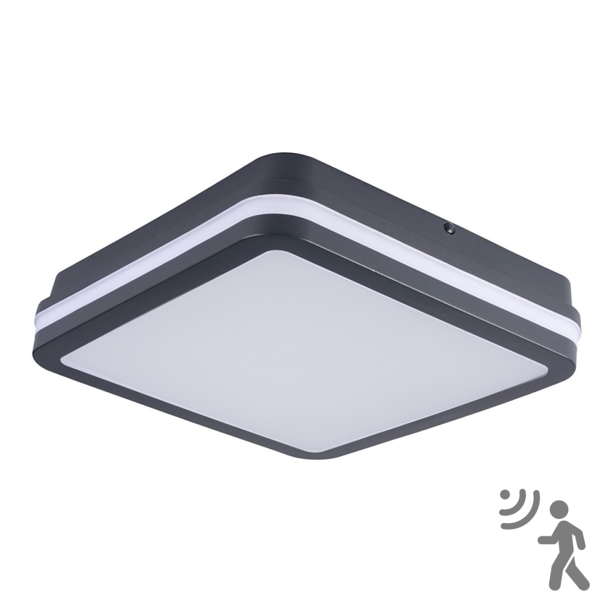 LED-ulkovalaisin anturilla BENO LED/24W/230V IP54 antrasiitti
