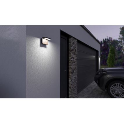 LED Ulkovalo anturilla NATURA LED/12W/230V 4000K IP54 ruskea/antrasiitti