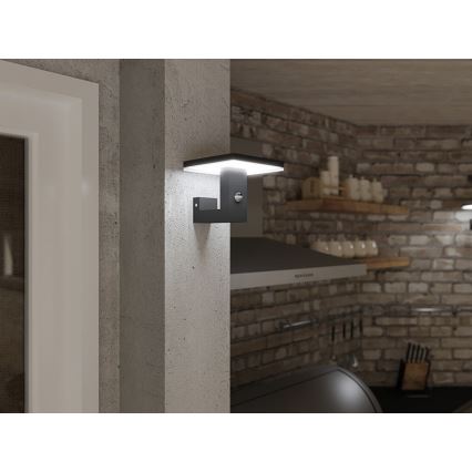 LED Ulkovalo anturilla BARI LED/10W/230V 4000K IP54 antrasiitti