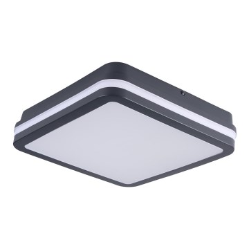 LED-ulkovalo BENO LED/24W/230V IP54 antrasiitti