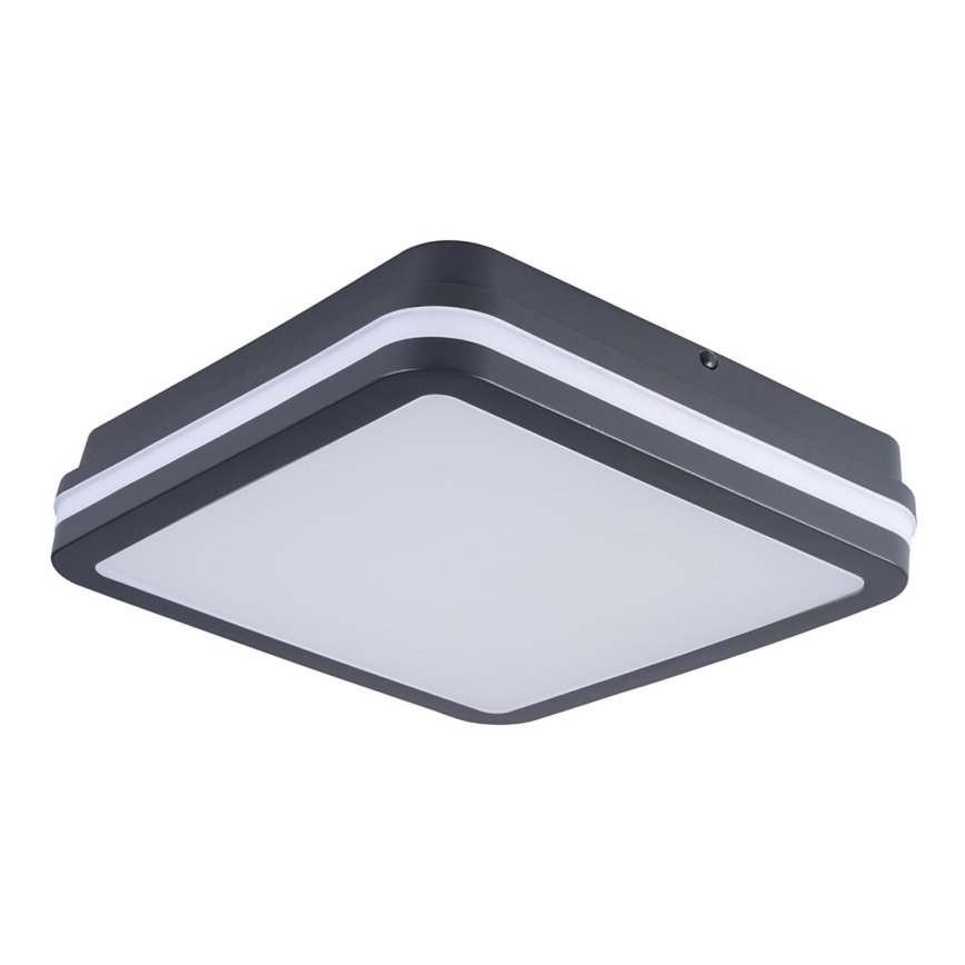 LED-ulkovalo BENO LED/24W/230V IP54 antrasiitti