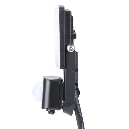 LED-ulkovalonheitin anturilla LED/10W/230V 5000K IP44