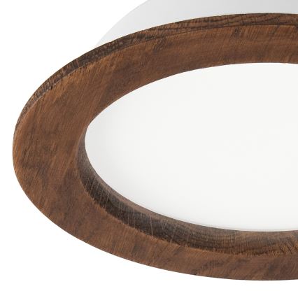 LED upotettava valo WOODY SPOT LED/16,5W/230V 4000K kirsikka ø 18,5 cm