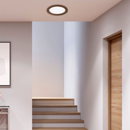 LED upotettava valo WOODY SPOT LED/23,5W/230V 4000K kirsikka ø 23,5 cm